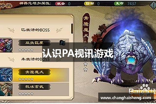 认识PA视讯游戏